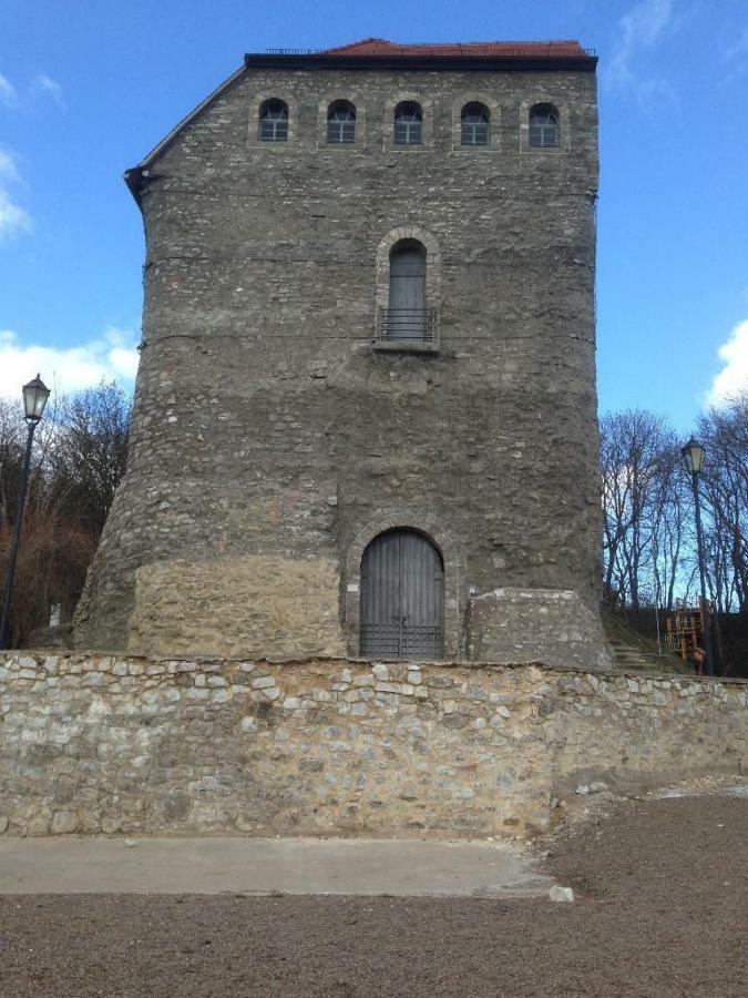 Ratstrasse Im Kyffhaeuser - Krumm & Schief Apartment Bad Frankenhausen Bagian luar foto